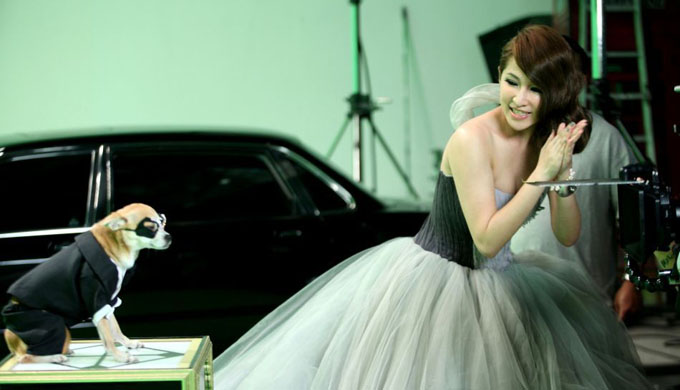 Elva Hsiao и пёс в маске.